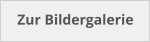 Zur Bildergalerie