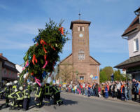 Maibaumstellen mit Bewirtung